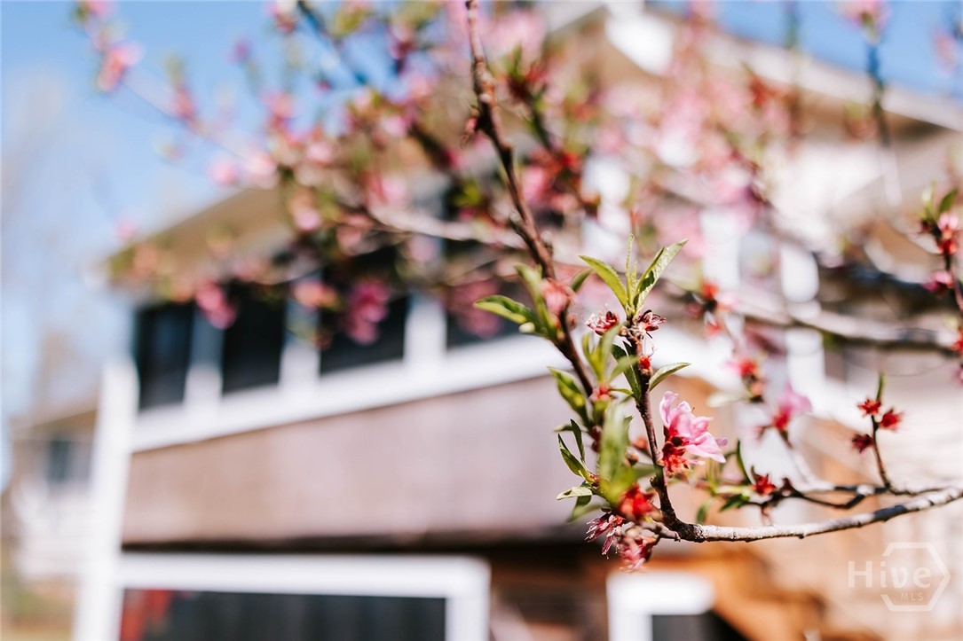 2242 Crawfordville Road Rayle, GA 30660 - Photo 38 of 65