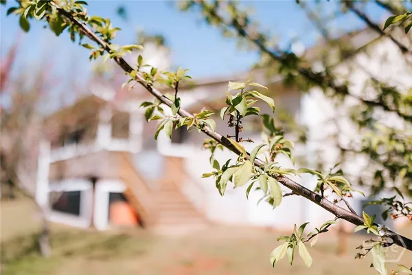 $345,000 | 2242 Crawfordville Road, Rayle, GA 30660