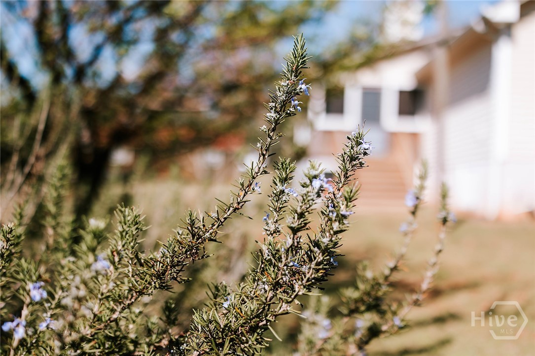 2242 Crawfordville Road Rayle, GA 30660 - Photo 40 of 65