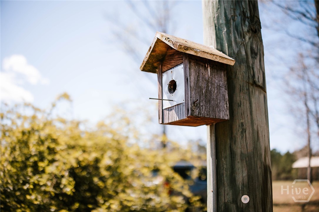2242 Crawfordville Road Rayle, GA 30660 - Photo 49 of 65
