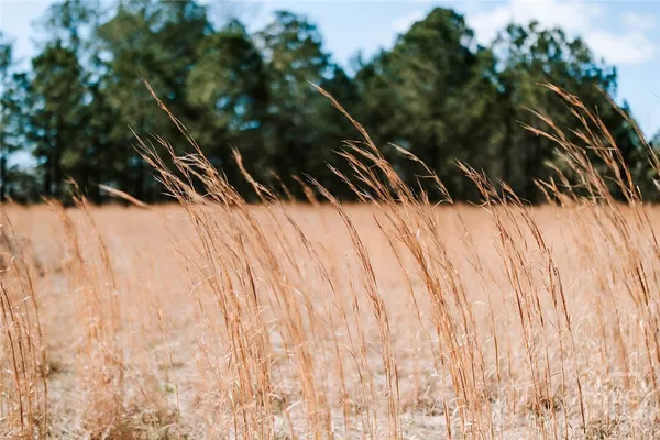 $345,000 | 2242 Crawfordville Road, Rayle, GA 30660