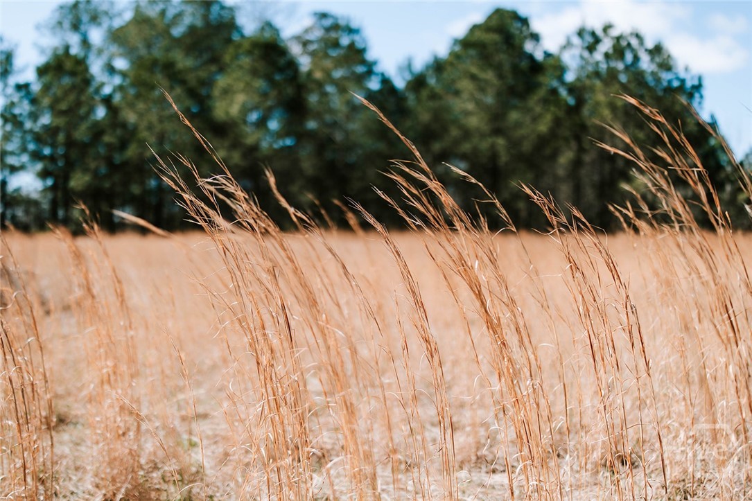 2242 Crawfordville Road Rayle, GA 30660 - Photo 56 of 65