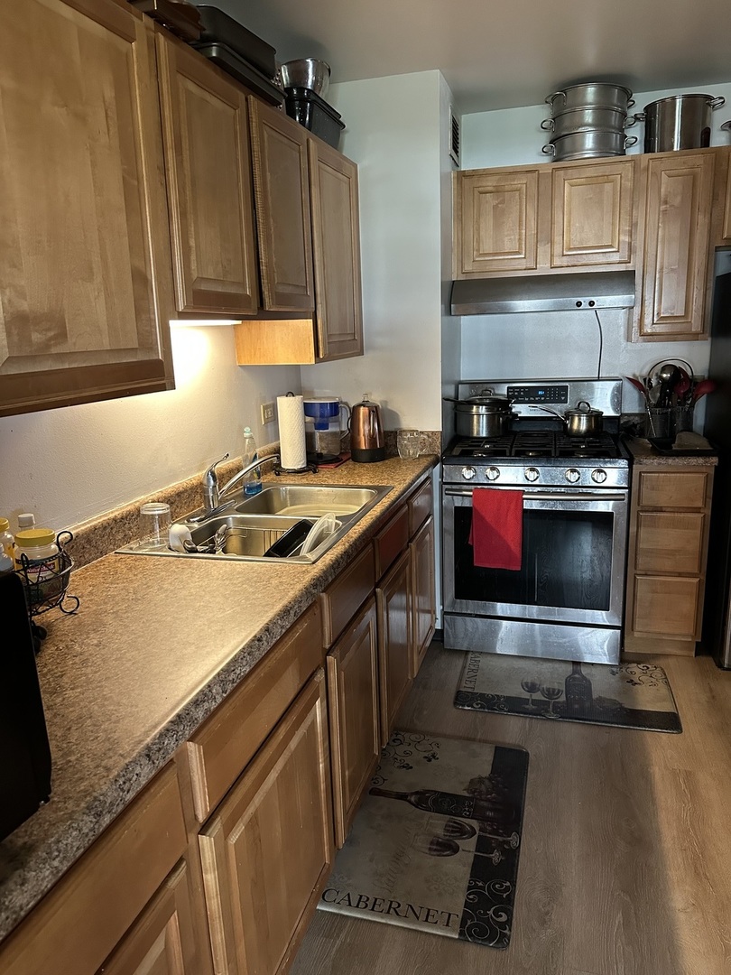 4850 South Lake Park Avenue, Unit 702B Chicago, IL 60615 - Photo 4 of 13 a kitchen with a stove a sink and a refrigerator