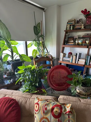 a bedroom with bed and window