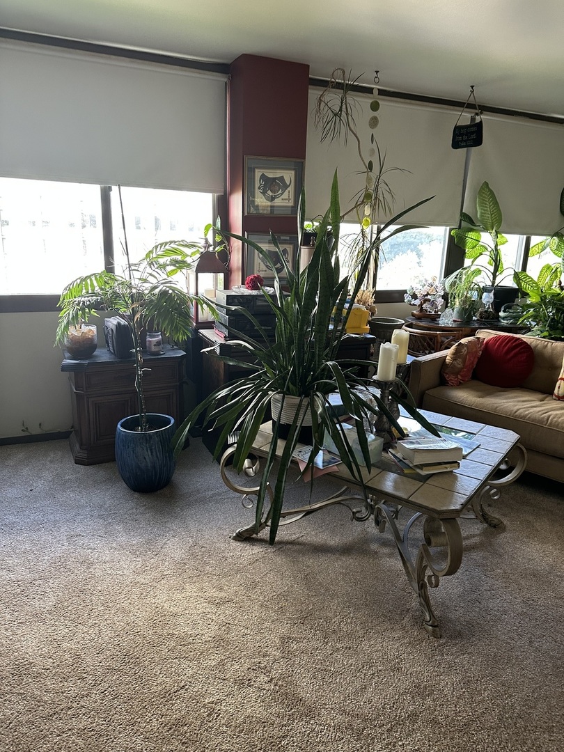 4850 South Lake Park Avenue, Unit 702B Chicago, IL 60615 - Photo 9 of 13 a living room with furniture a patio and a potted plant