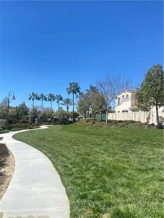 a view of a park with large trees