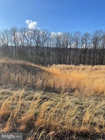 $479,000 | 559 Tatonka Trail, Delray, WV 26714