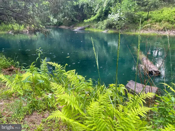 $479,000 | 559 Tatonka Trail, Delray, WV 26714