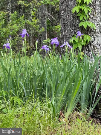 $479,000 | 559 Tatonka Trail, Delray, WV 26714