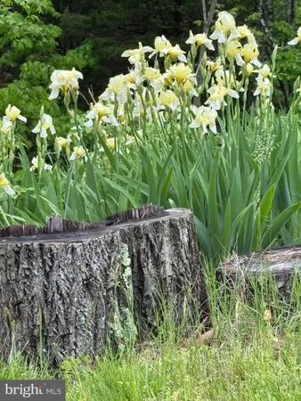 $479,000 | 559 Tatonka Trail, Delray, WV 26714