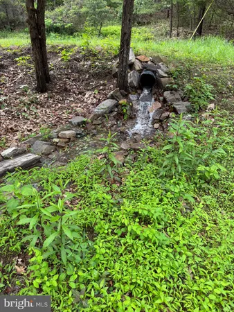 $479,000 | 559 Tatonka Trail, Delray, WV 26714