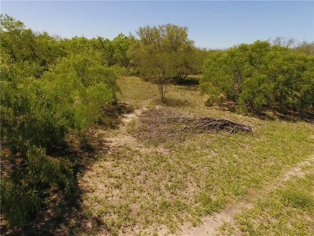 $1,170,000 | 0 North County Road 1026, Kingsville, TX 78363