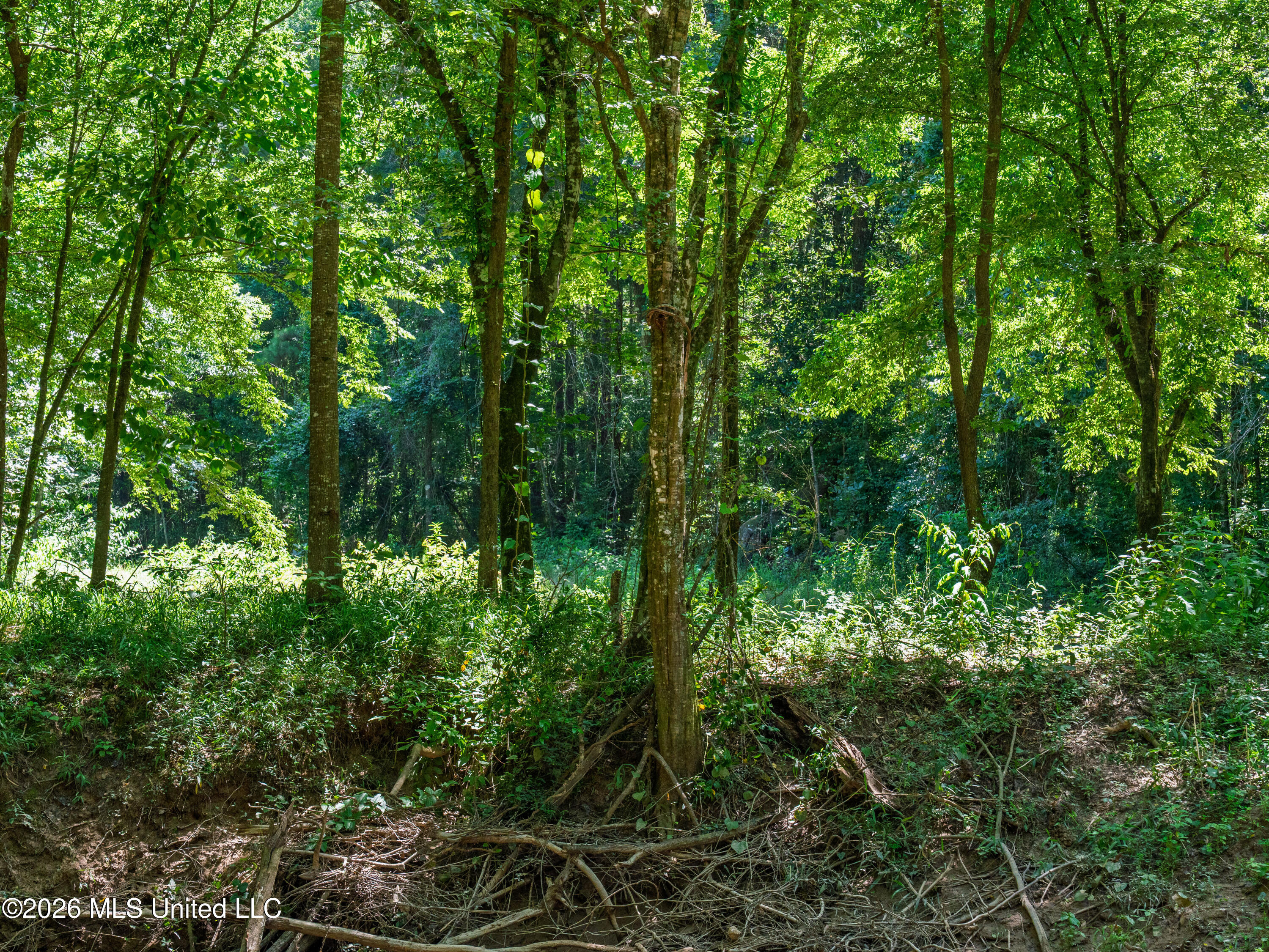 23 Co Road Bay Springs, MS 39422 - Photo 28 of 64 A7403778