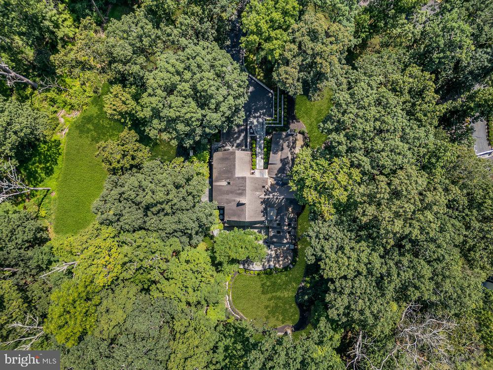 176 Rolling Hill Road Skillman, NJ 08558 - Photo 43 of 44 Serene retreat nestled in lush greenery.