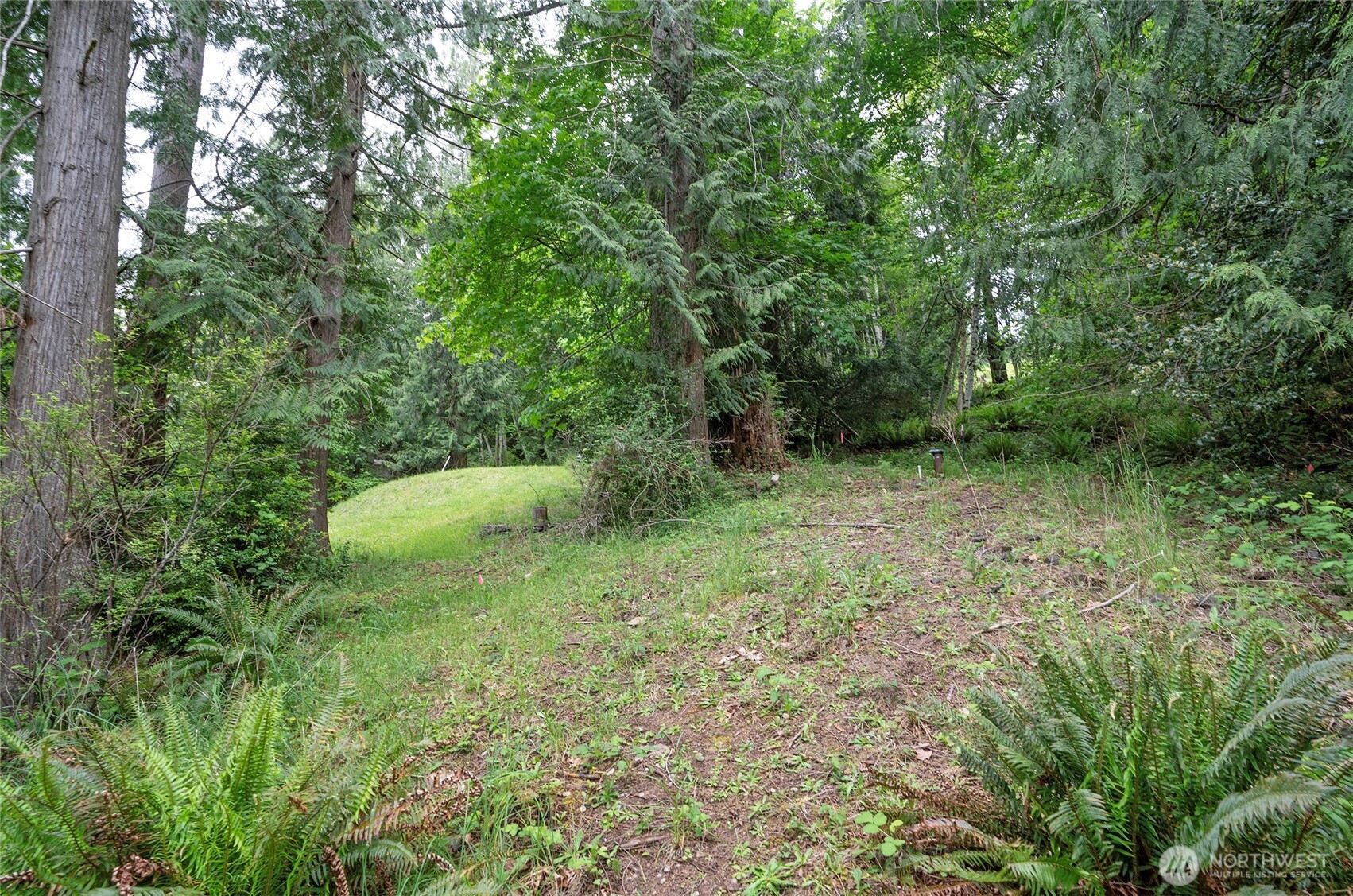 407 Southeast Allen Road Shelton, WA 98584 - Photo 15 of 29 Gallery Image 15