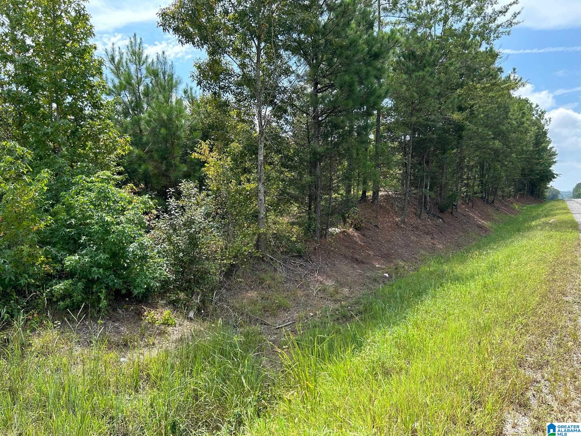 0 Alabama Highway Ohatchee, AL 36271 - Photo 8 of 10