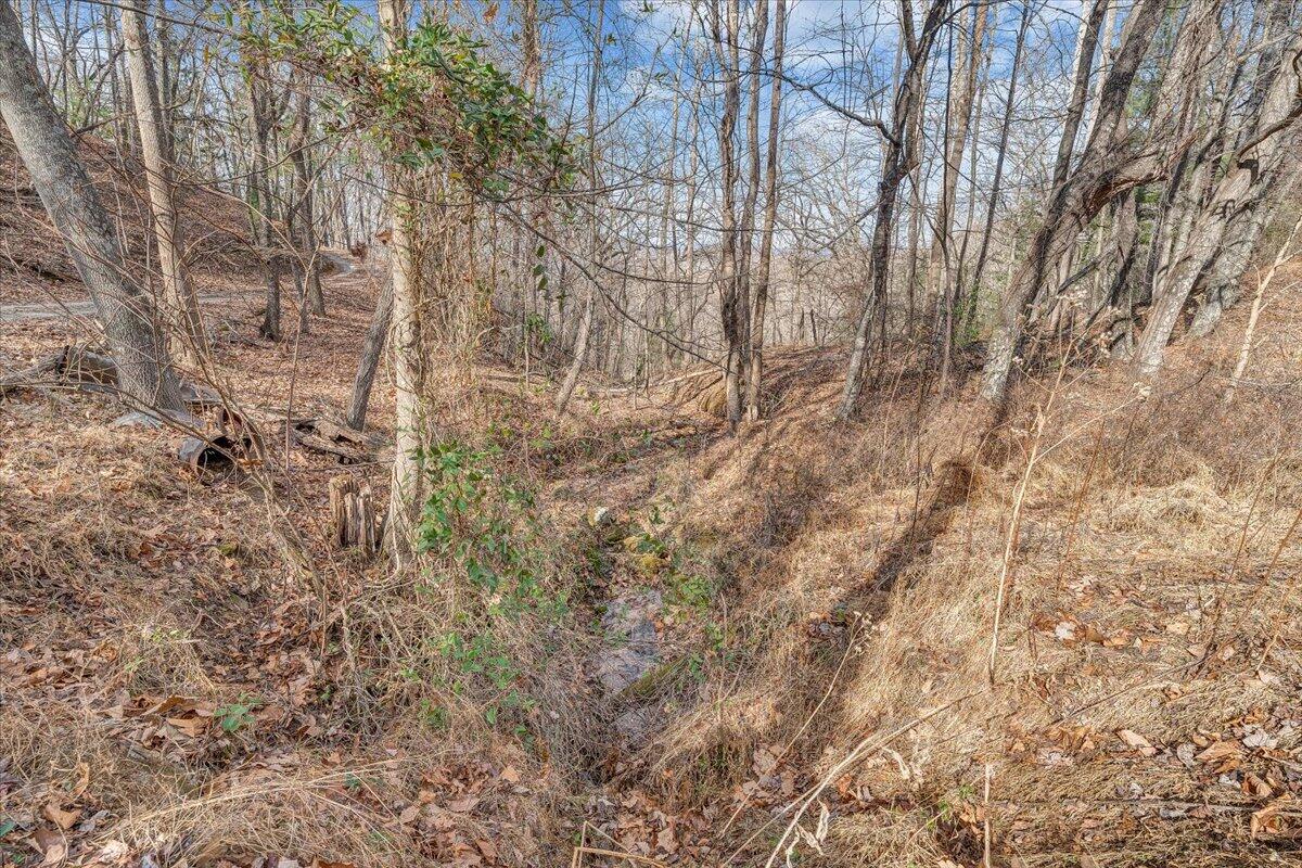 6847 Crowell Gap Road Boones Mill, VA 24065 - Photo 38 of 55 a view of a yard with trees