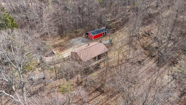a flag is sitting in the middle of a forest