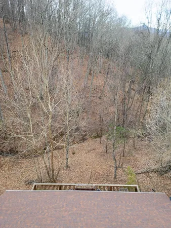 a close up of a plants