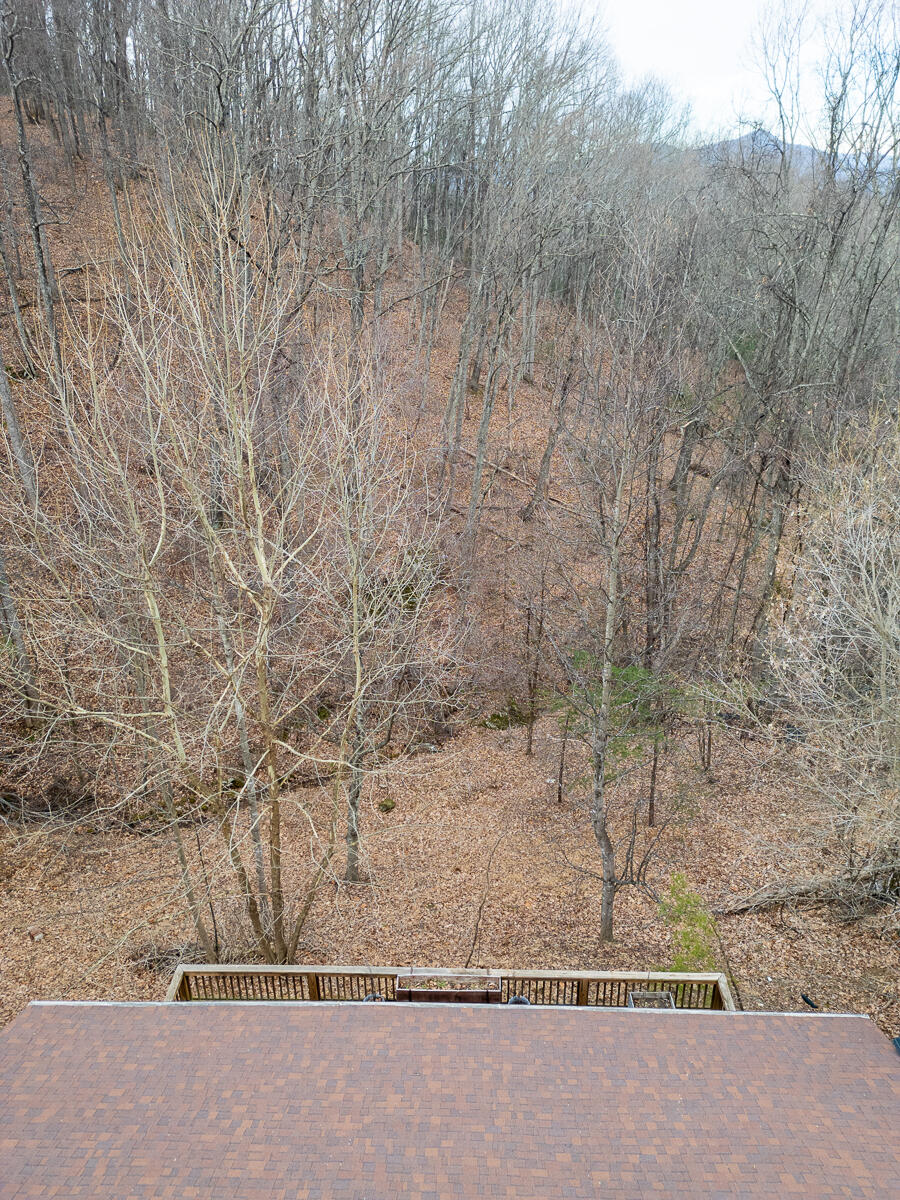 6847 Crowell Gap Road Boones Mill, VA 24065 - Photo 44 of 55 a view of a dry yard with trees