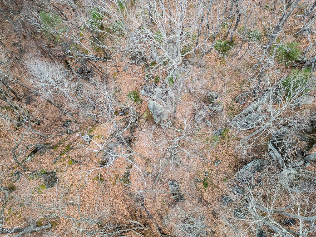 6847 Crowell Gap Road Boones Mill, VA 24065 - Photo 45 of 55 DJI_0441