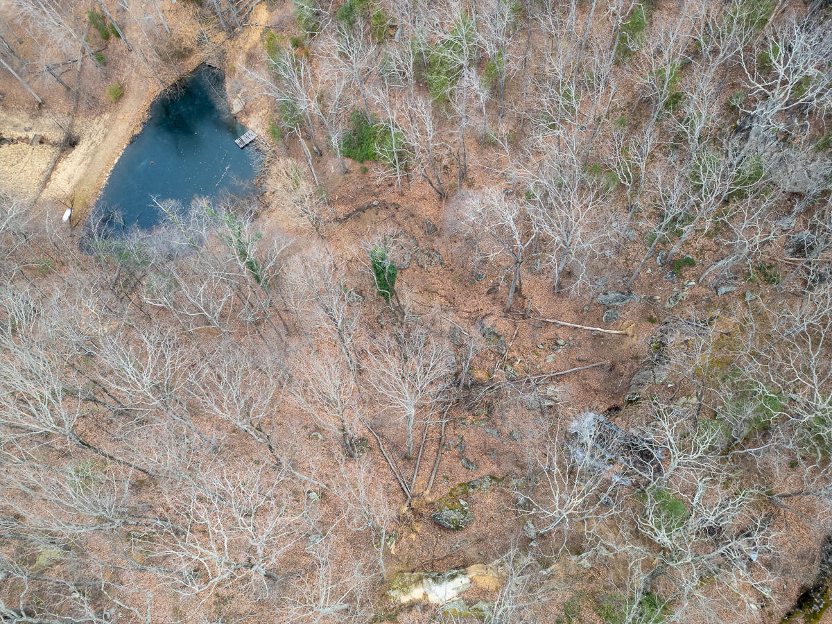 6847 Crowell Gap Road Boones Mill, VA 24065 - Photo 48 of 55 a backyard of a house with lots of green space