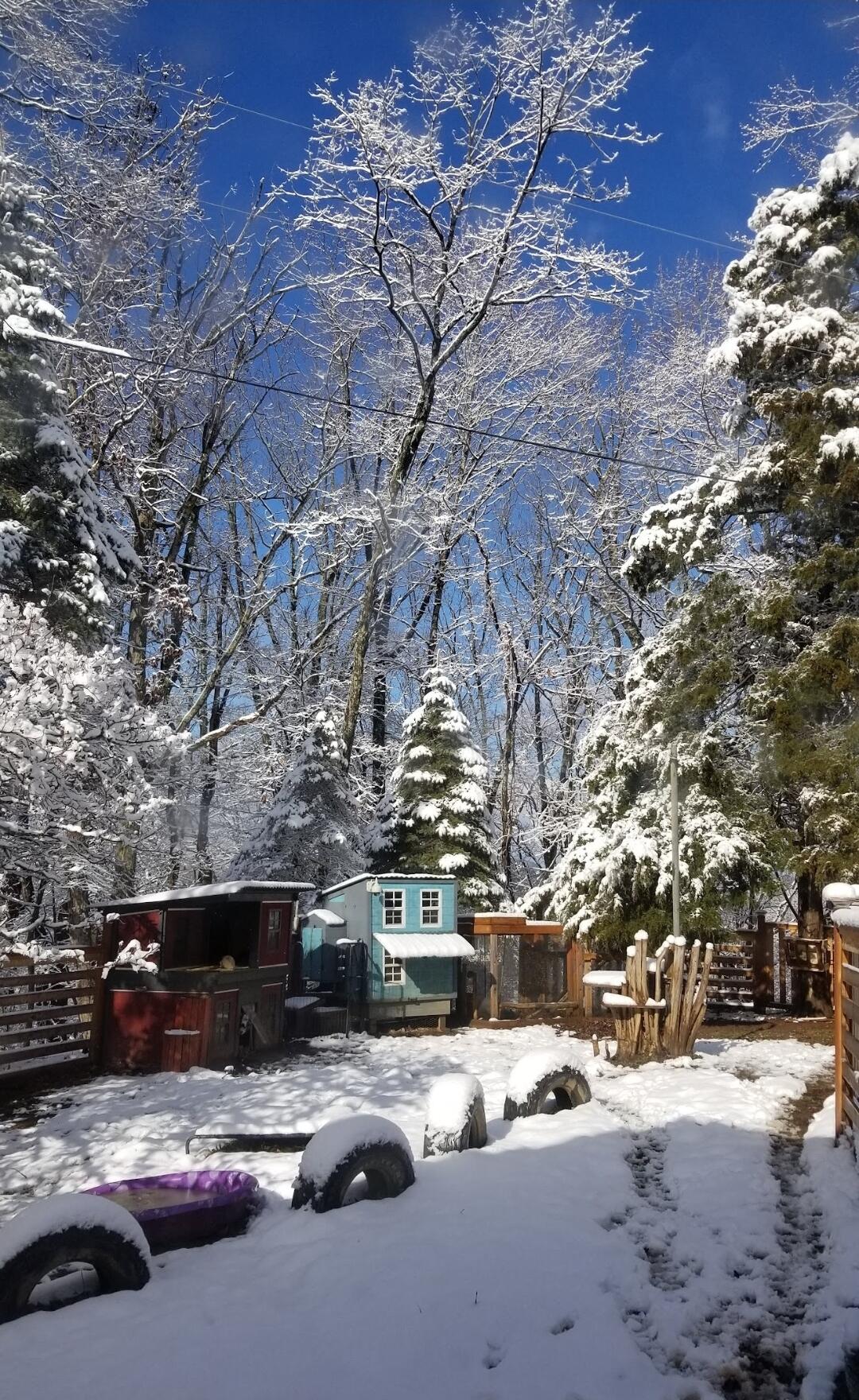 6847 Crowell Gap Road Boones Mill, VA 24065 - Photo 51 of 55 1000014280