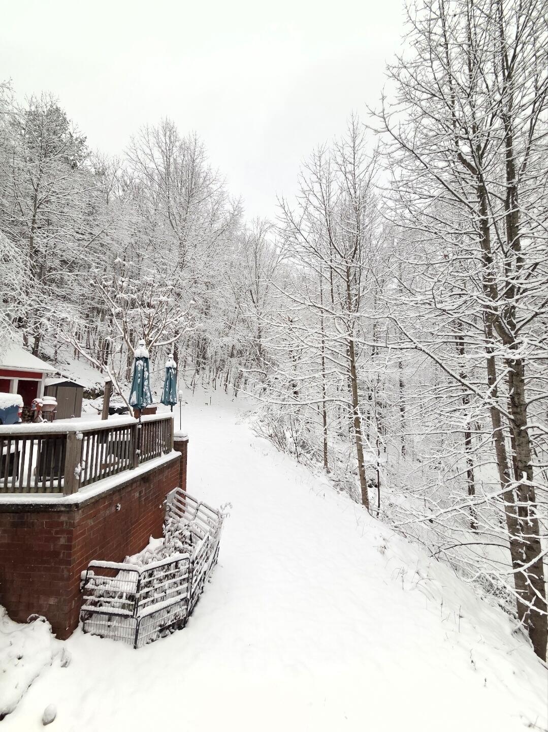 6847 Crowell Gap Road Boones Mill, VA 24065 - Photo 54 of 55 a view of outdoor space and lake view