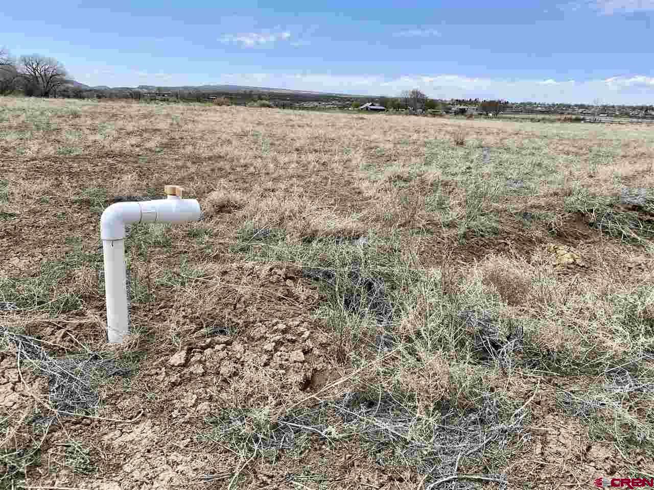 26.1 Rd Cortez Co 81321 Road Cortez, CO 81321 - Photo 7 of 7 Gallery Image 7