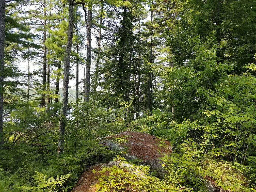 113 North Pond Road Chesterville, ME 04938 - Photo 13 of 35 20180806_133503_resized