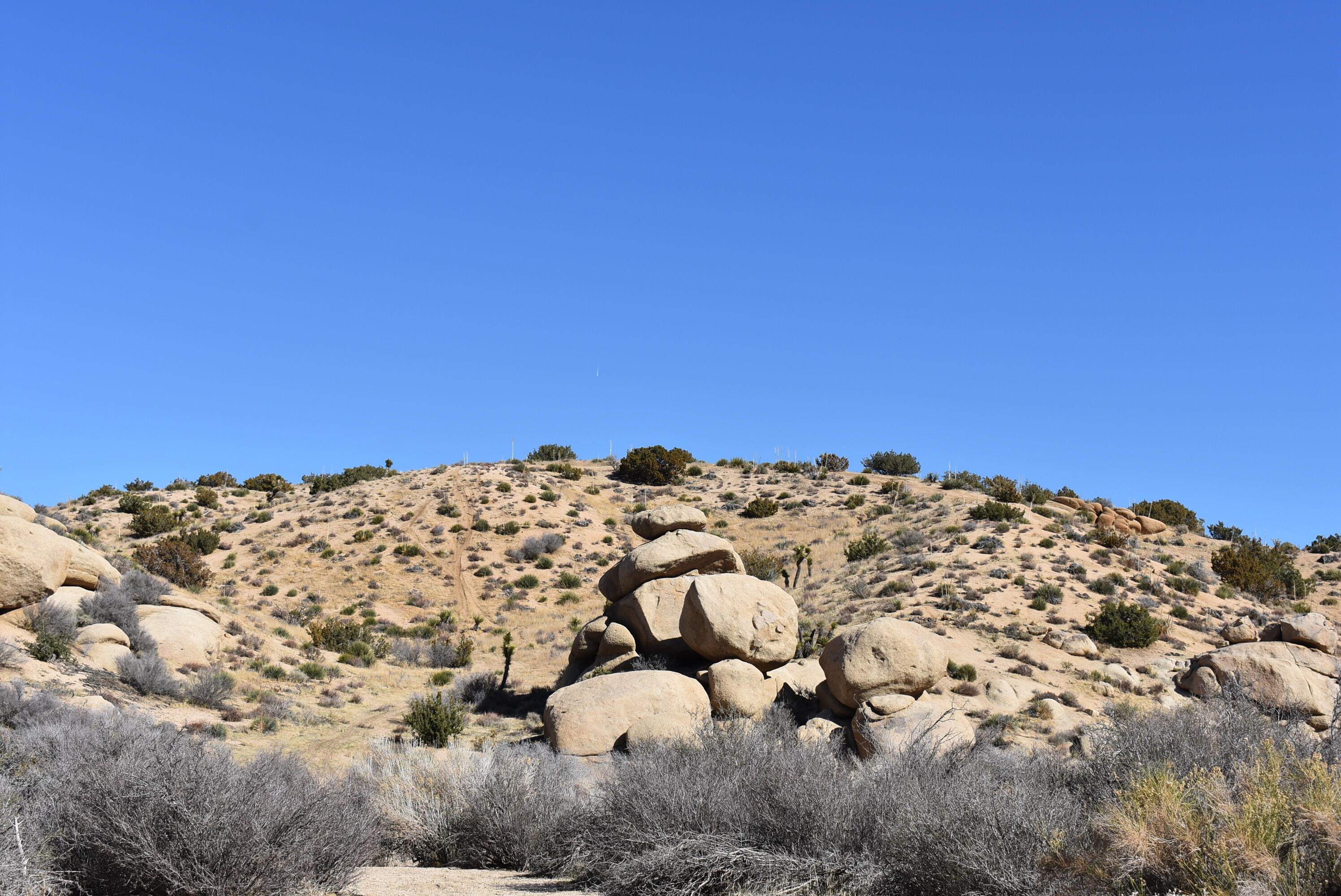 Andes Trail Apple Valley, CA 92308 - Photo 10 of 30 a view of a large building