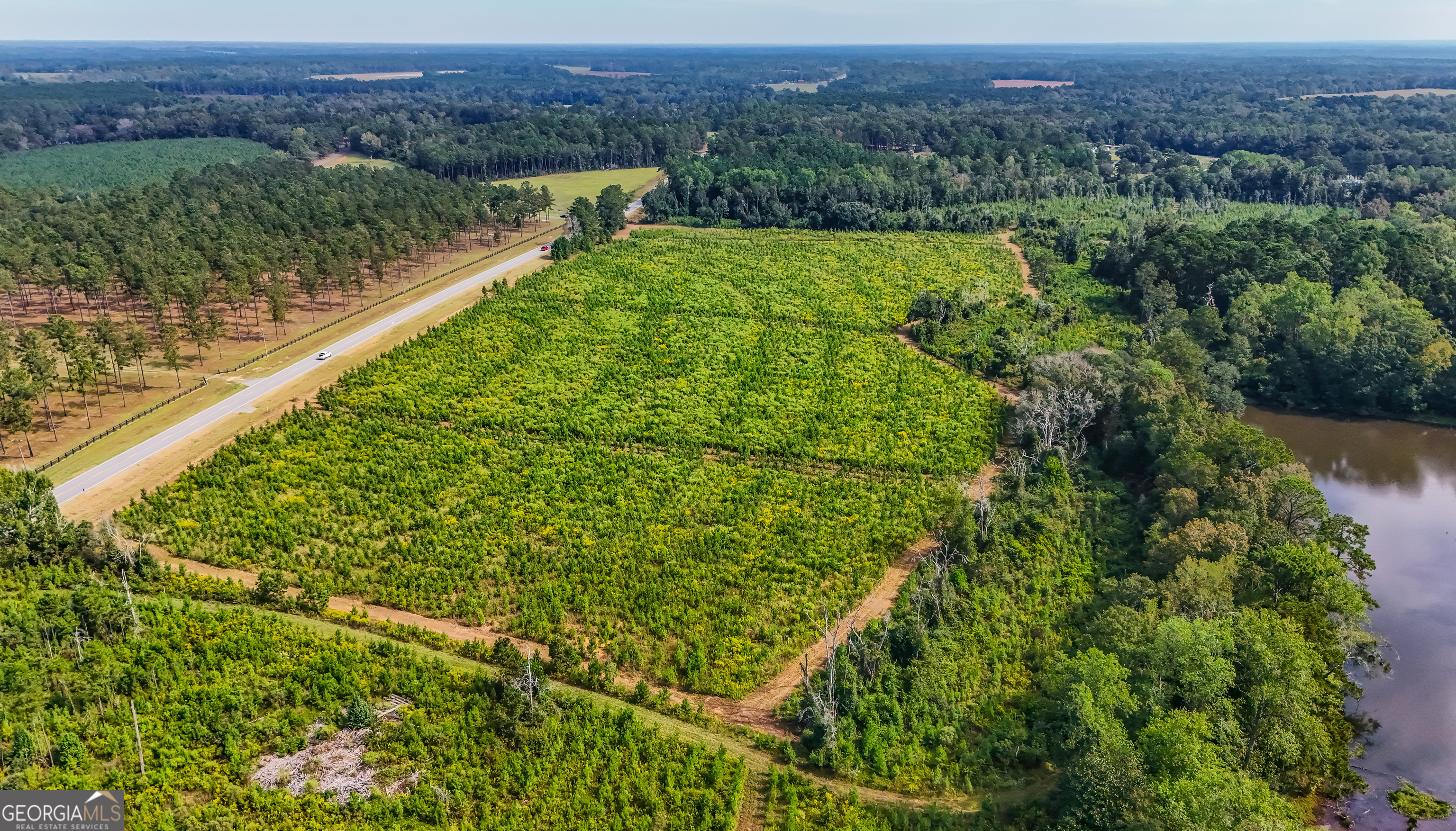 7501 111 S Cairo, GA 39828 - Photo 1 of 1 a view of a lush green forest with a lake and mountain view