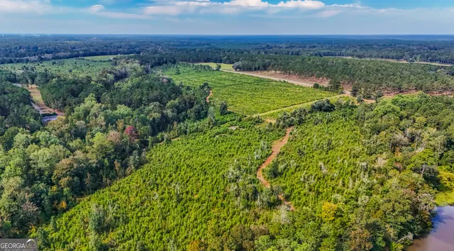 an aerial view of a lush green space