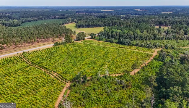 a view of a city with lush green forest