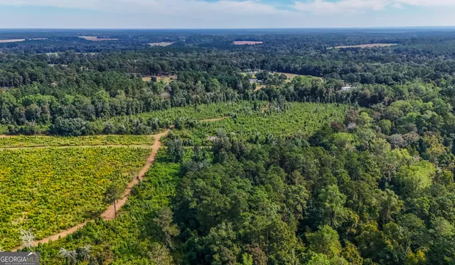 a view of a garden with an outdoor seating