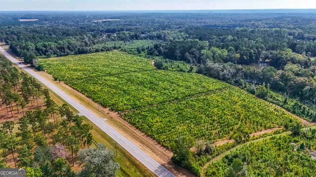 a view of a lush green forest with a city