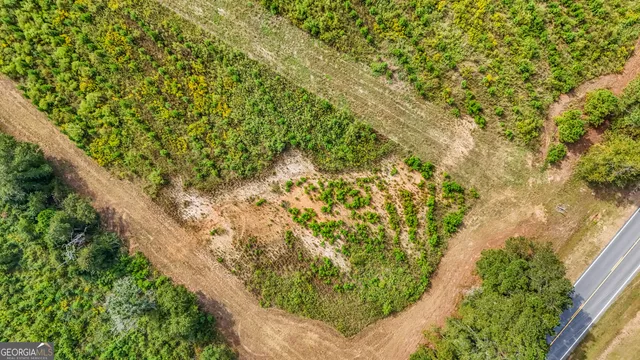 a view of a lush green forest with trees and some houses