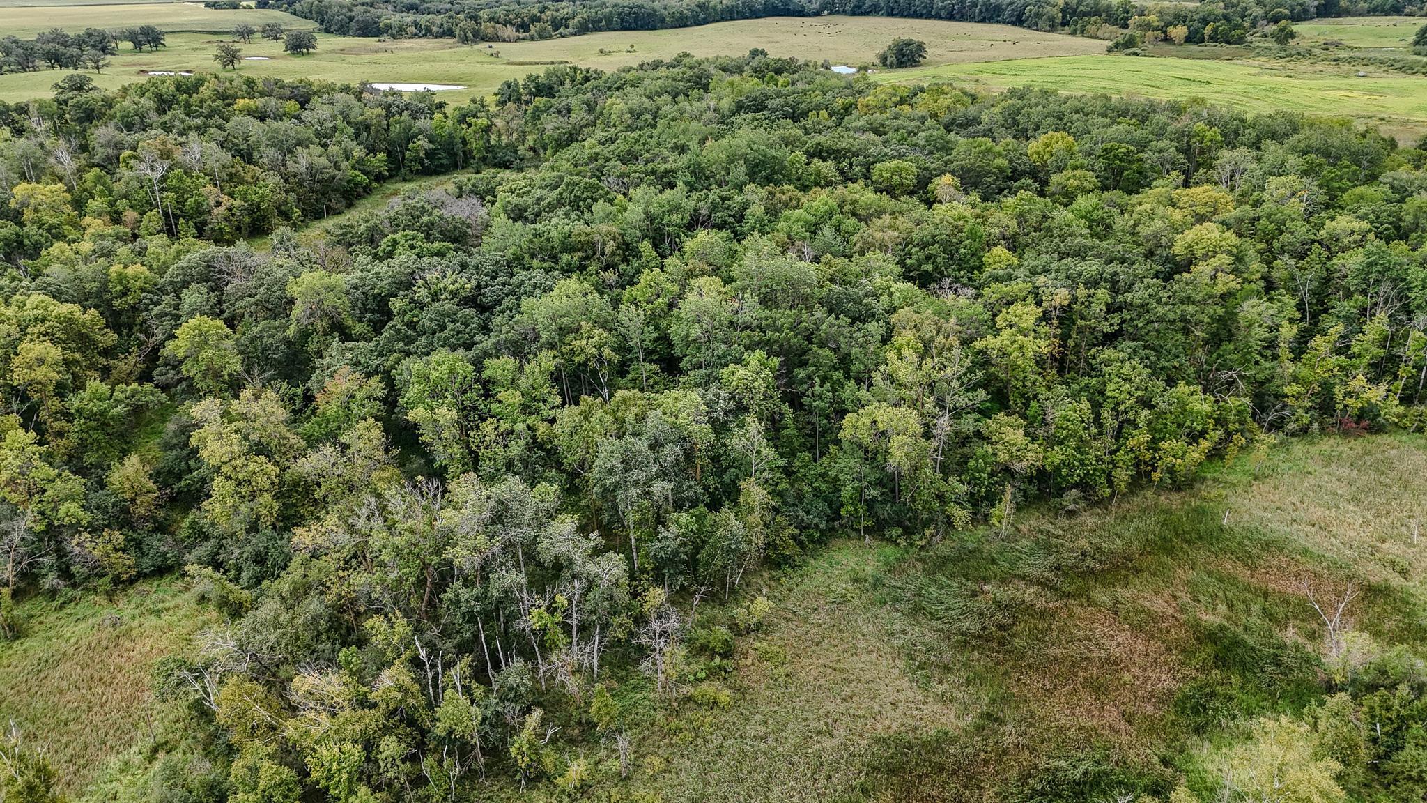 Tbd 190th Street Long Prairie, MN 56347 - Photo 1 of 1 Gallery Image 1