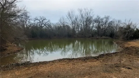 a view of a lake from a yard