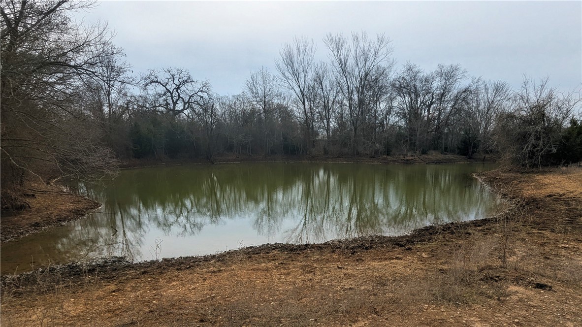 2 River Ridge Drive Hearne, TX 77859 - Photo 12 of 18 a view of a lake from a yard