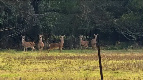 a view of a backyard with sitting area
