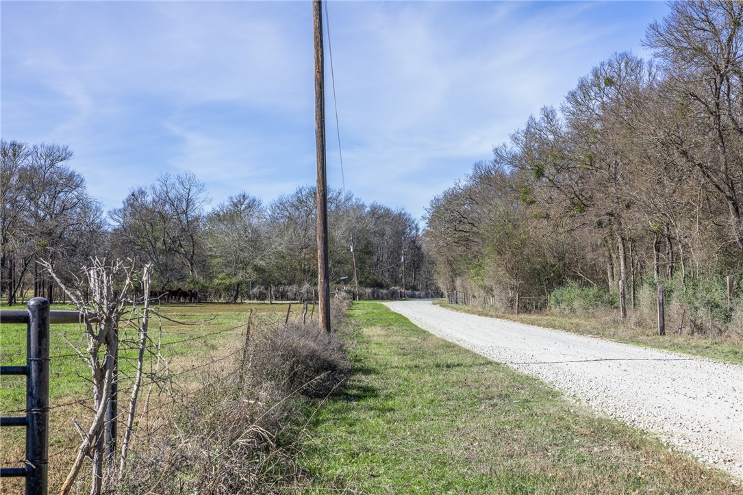 2 River Ridge Drive Hearne, TX 77859 - Photo 3 of 18 a view of a yard with a tree