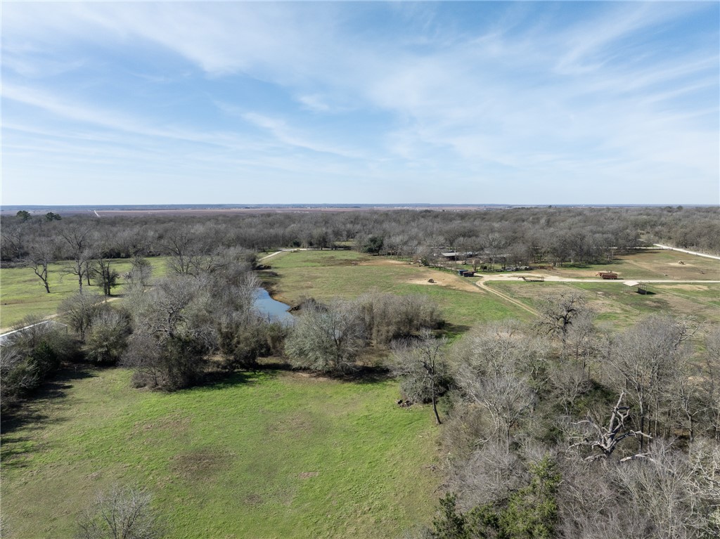 2 River Ridge Drive Hearne, TX 77859 - Photo 8 of 18 an aerial view of field and trees