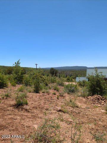121 Myrtle Point Trail, Unit 19 Payson, AZ 85541 - Photo 8 of 9 More Level area