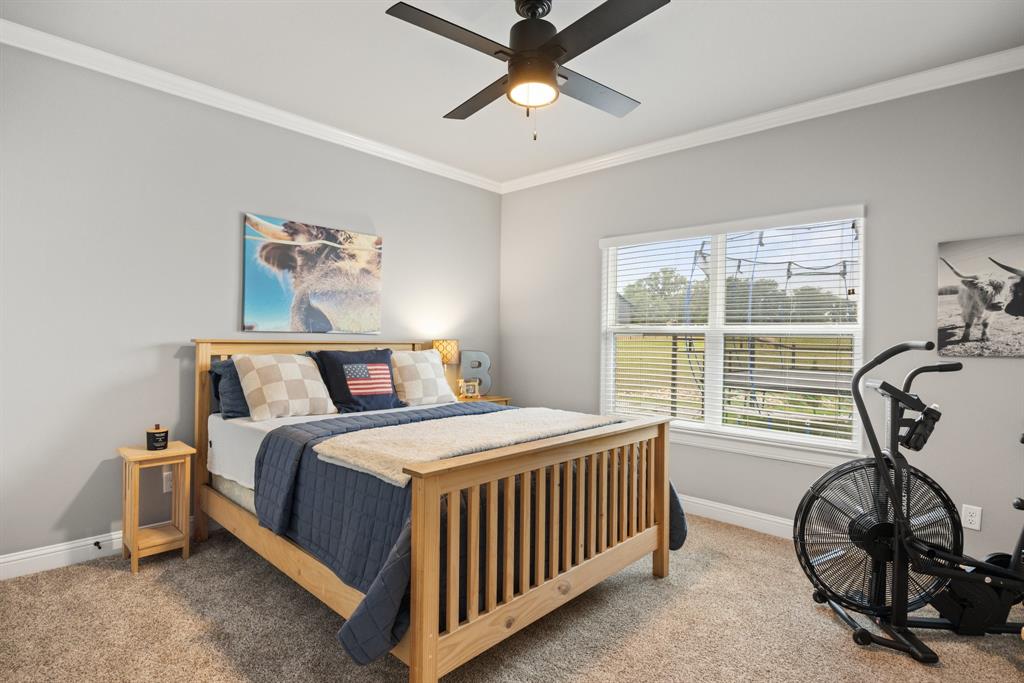 1800 Knox Road Tolar, TX 76476 - Photo 18 of 38 Bedroom #2 featuring light gray walls, white crown molding, and a ceiling fan with integrated lighting