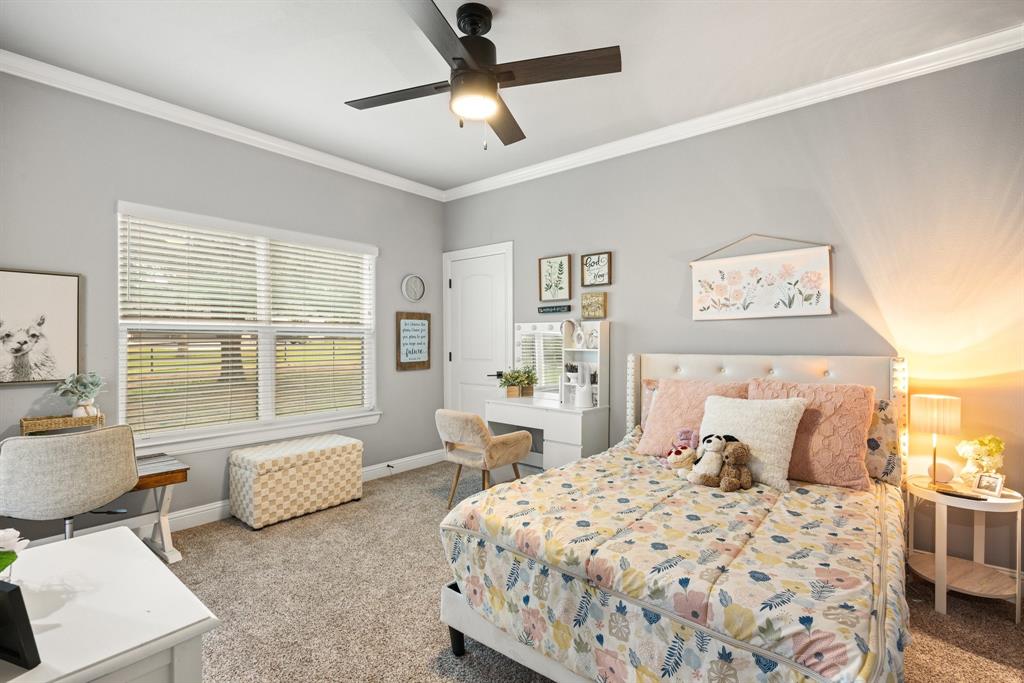 1800 Knox Road Tolar, TX 76476 - Photo 20 of 38 Bedroom #4 featuring a ceiling fan with light, crown molding, and a double window with horizontal blinds