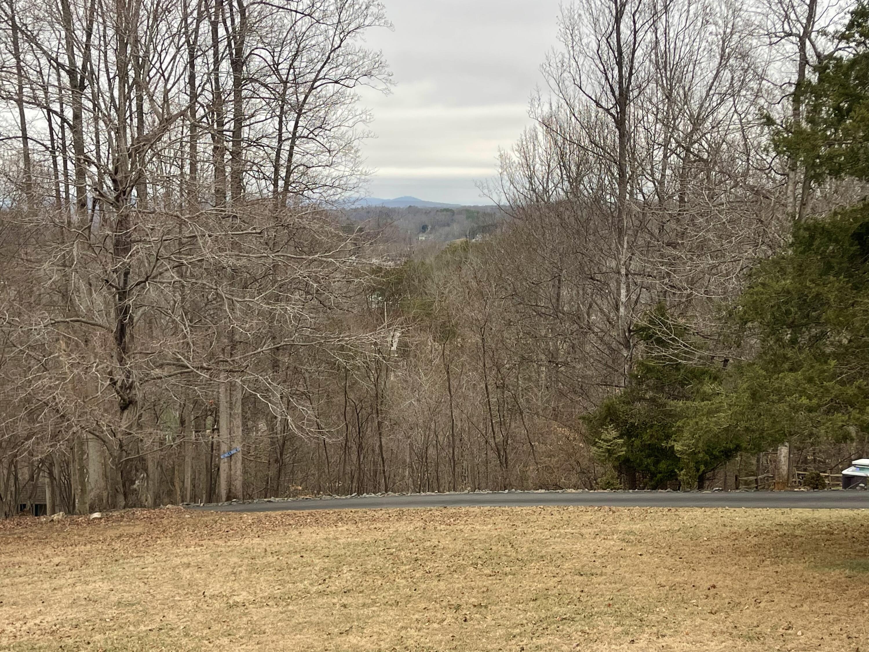 1625 Morewood Road Hardy, VA 24101 - Photo 16 of 63 Photo Dec 28 2025, 2 40 24 PM