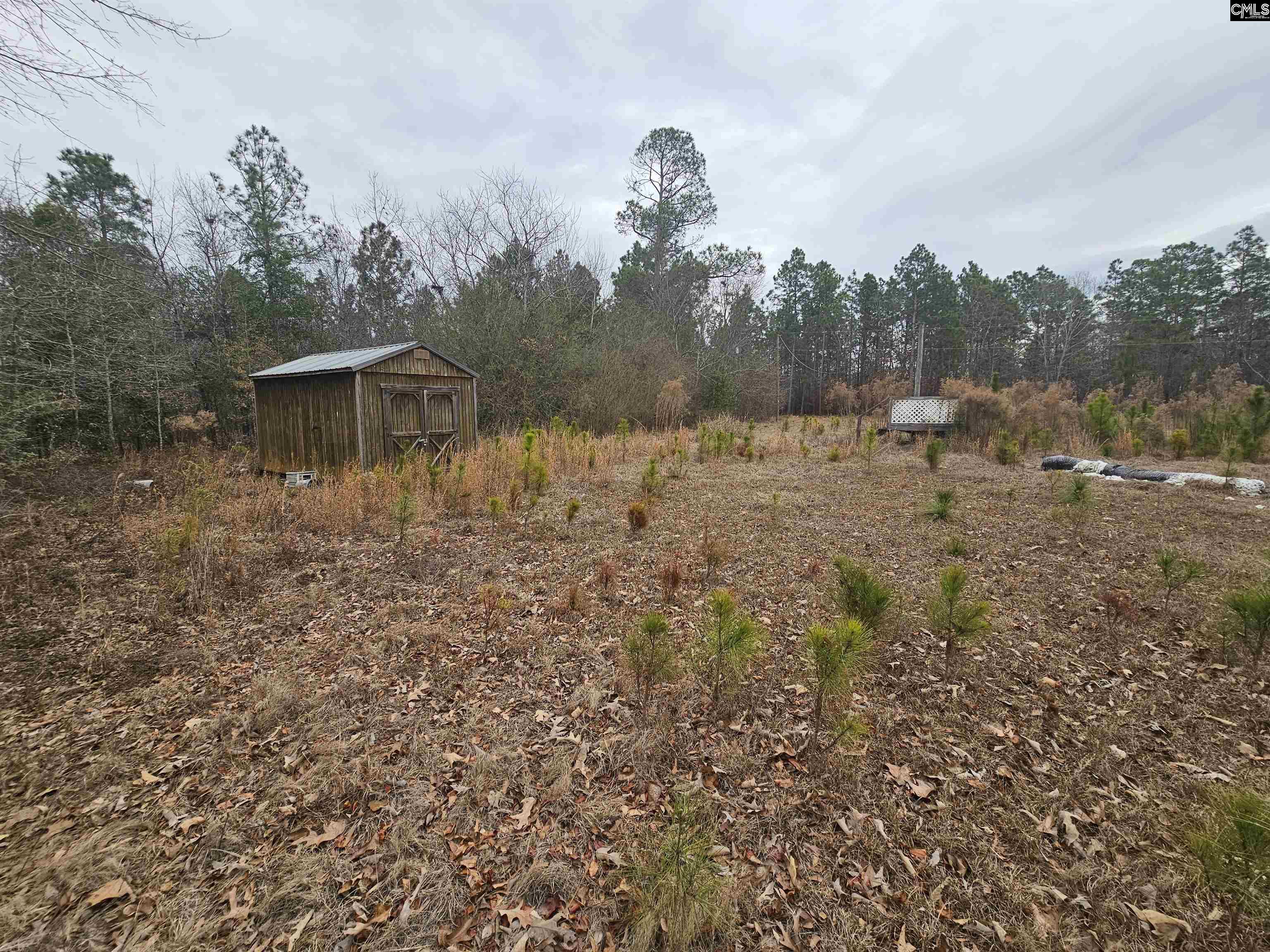 722 Jeff Sharpe Road Gaston, SC 29053 - Photo 10 of 18