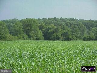 315 Gross Road Quakertown, PA 18951 - Photo 1 of 6 Gallery Image 1