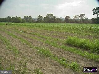 315 Gross Road Quakertown, PA 18951 - Photo 2 of 6 Gallery Image 2